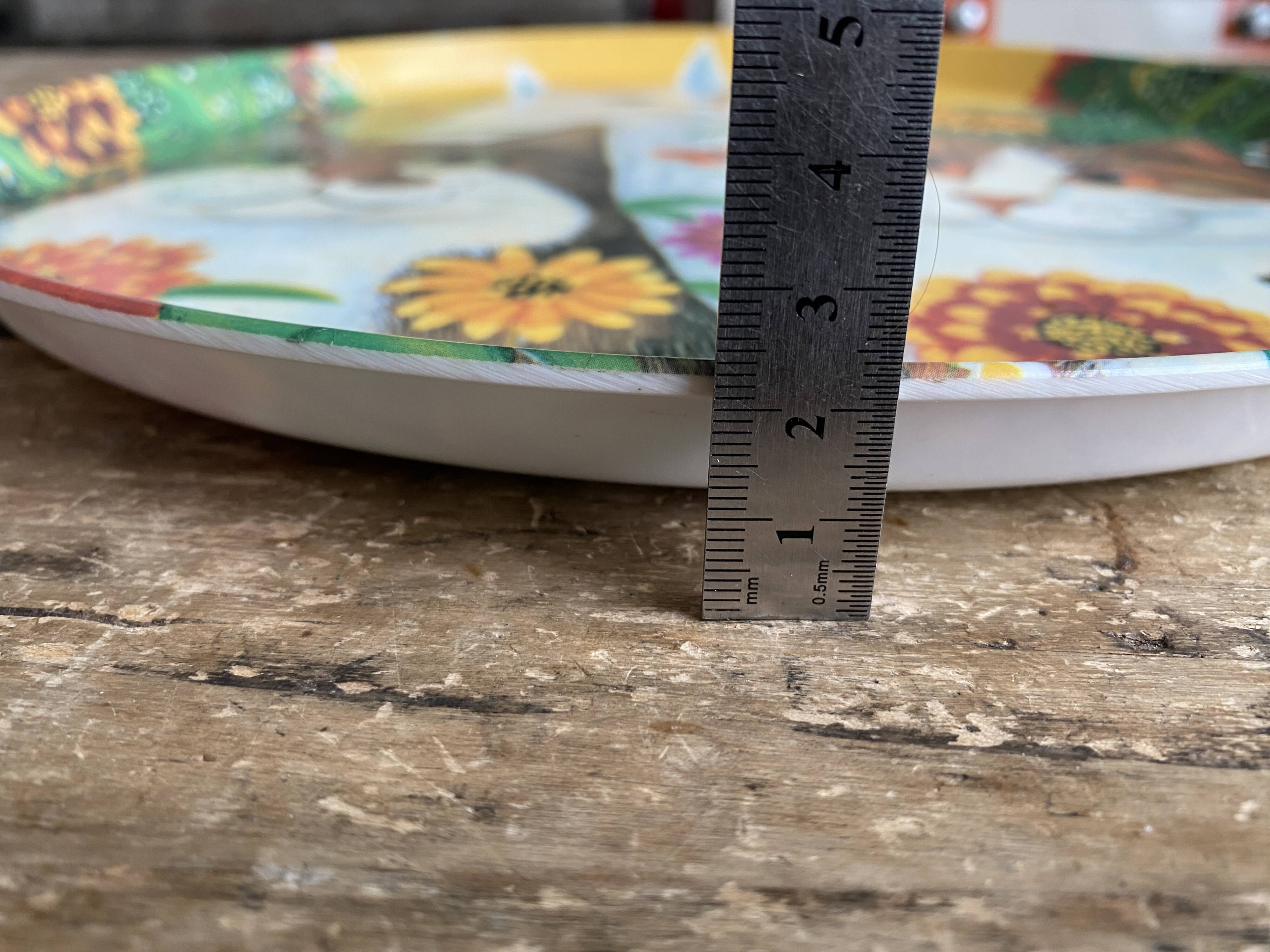 R2S tray artist Sylvia Huber Gaensslen - 3 cats