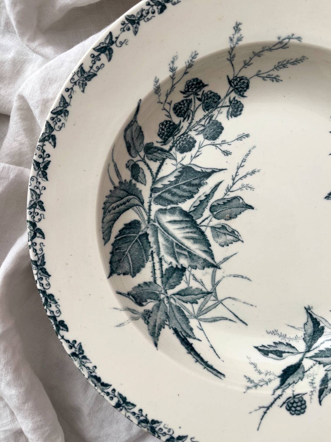 6 ironstone soup plates “Mûre” Badonviller