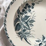 6 deep plates in Badonviller “Mûre” ironware