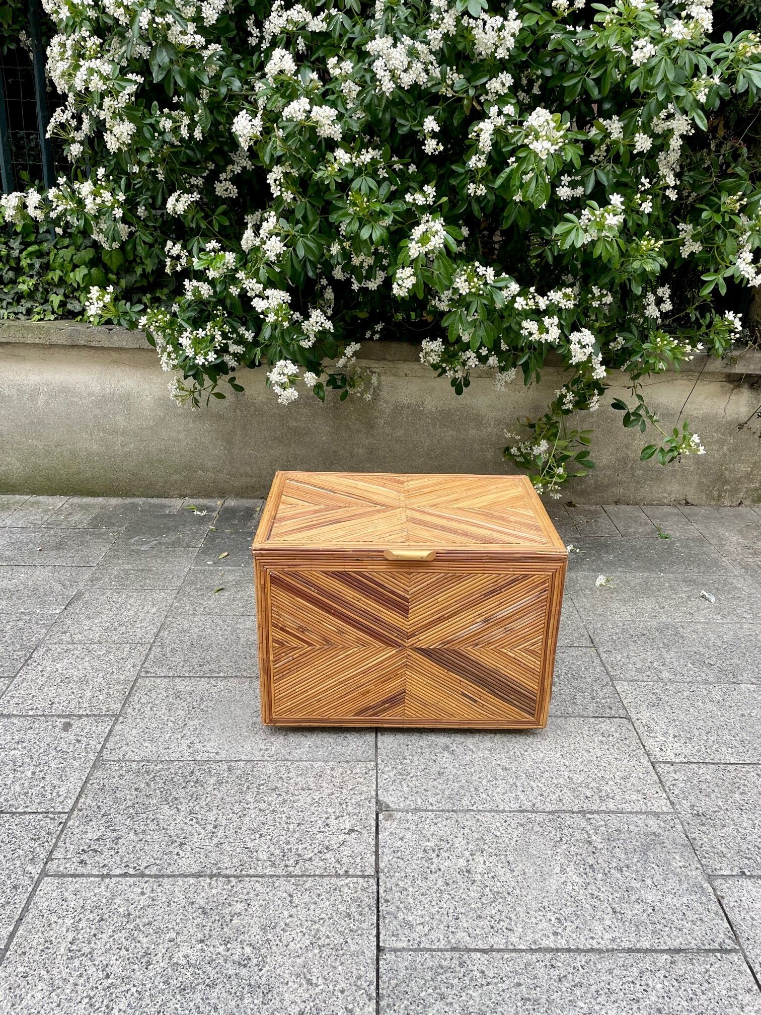 Vintage rattan chest