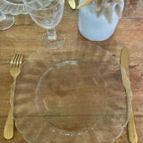 Pair of Dishes Plates Duralex model Marguerite vintage