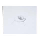 Madeleine, original drawing