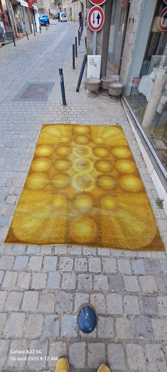 Musterring seventies design carpet