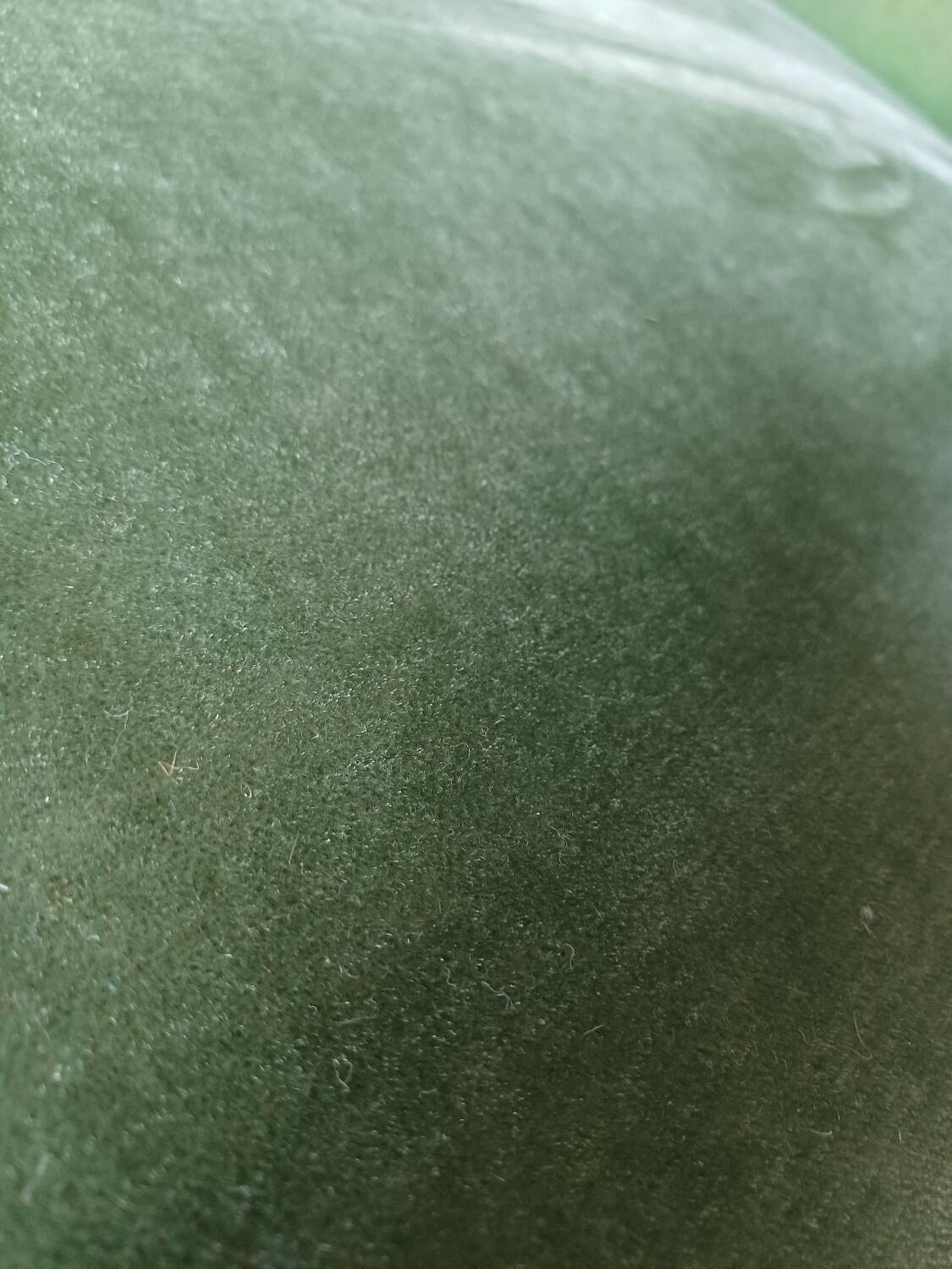 Napoleon III meridian