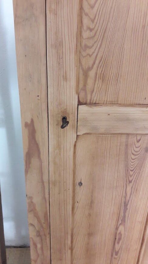 Paris wardrobe door