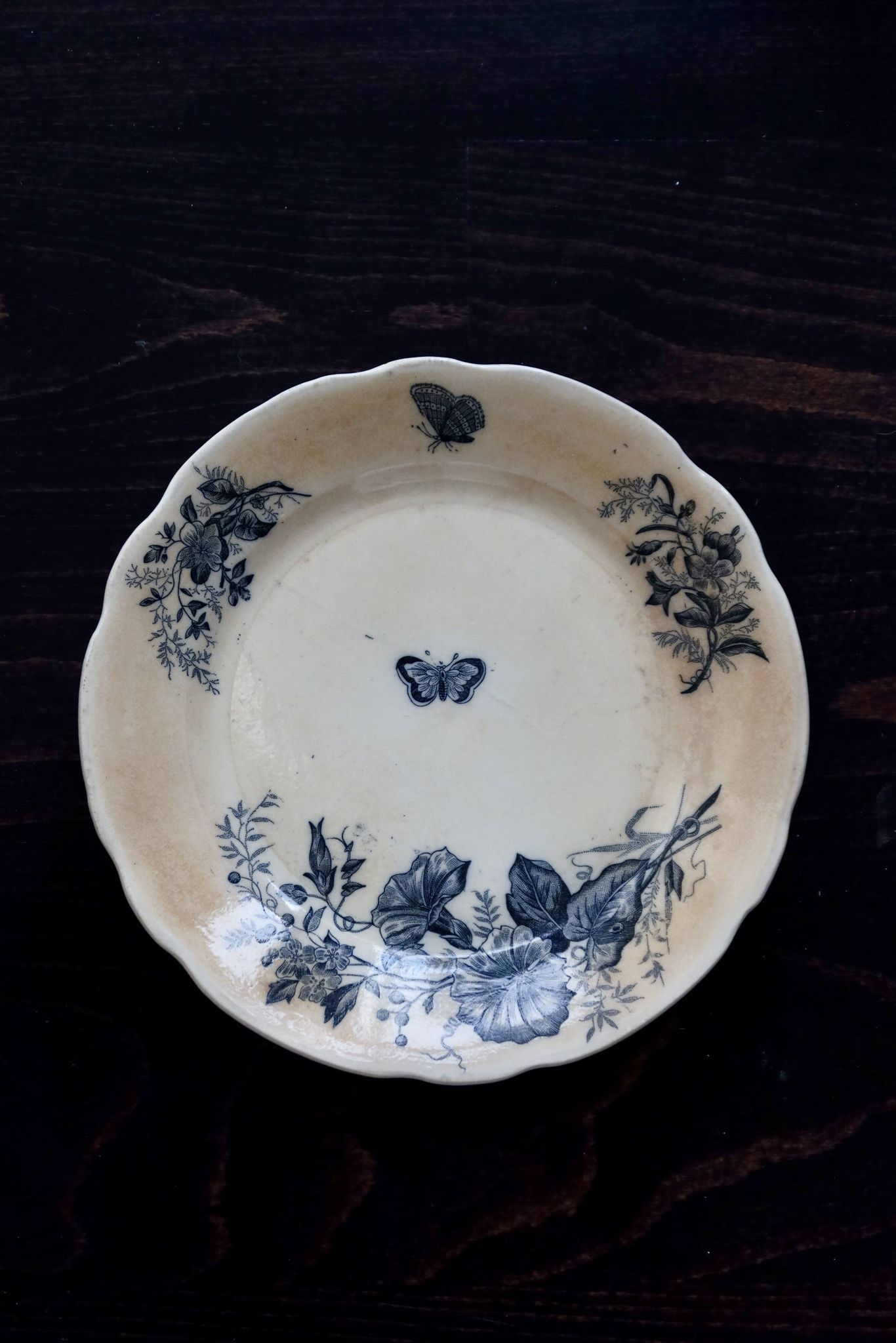 Antique flat plates, ironstone, Onnaing Nord - Floral and ribbon pattern.