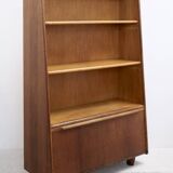 Library BE03 by Cees Braakman for Pastoe