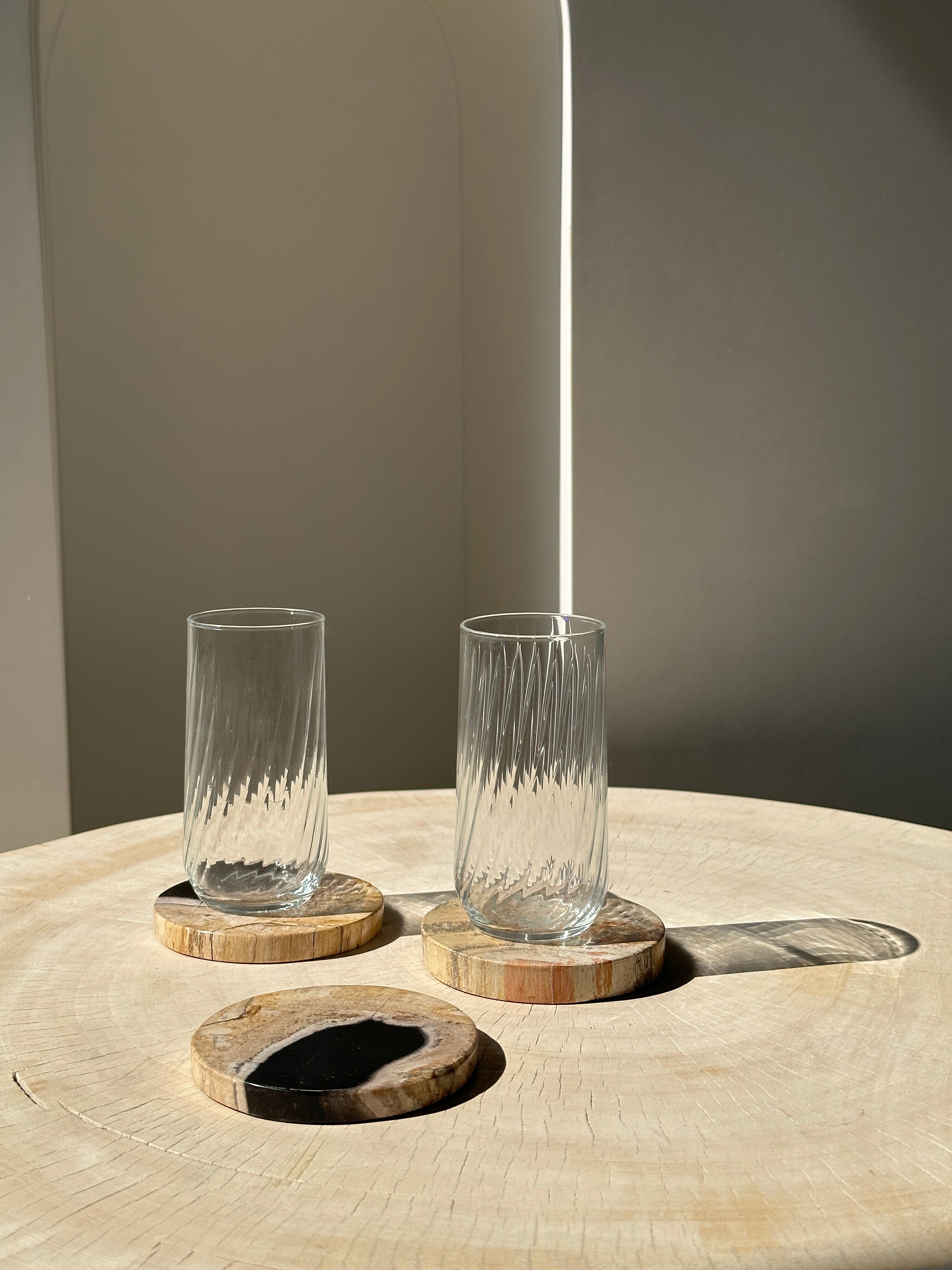 Set of 3 fossilized wooden coasters (clear)