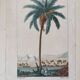 Datier framed botanical engraving by Turpin circa 1800