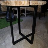 Table living room petrified wood