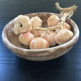 Bunch of garlic in slip