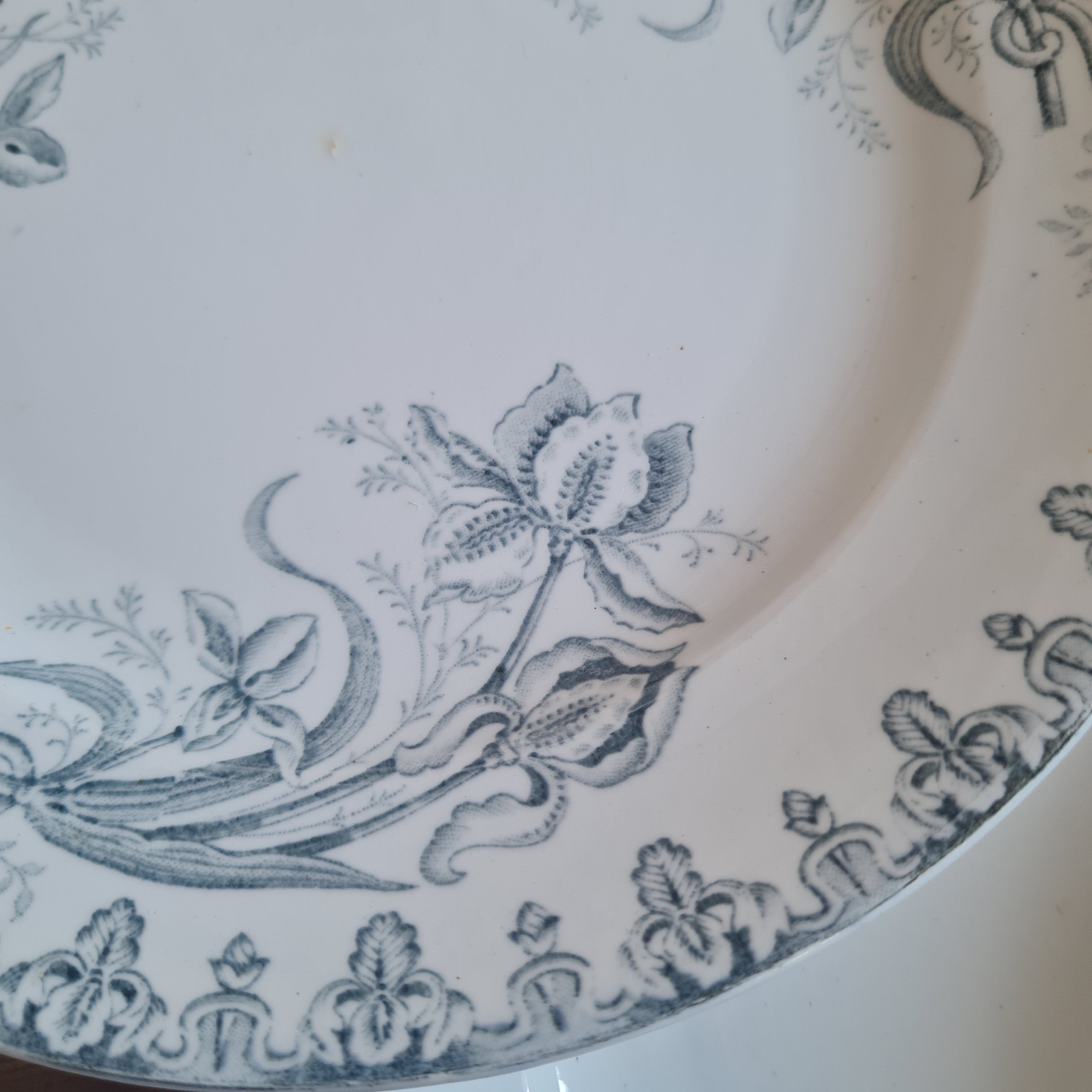 Set of 10 plates in iron earth