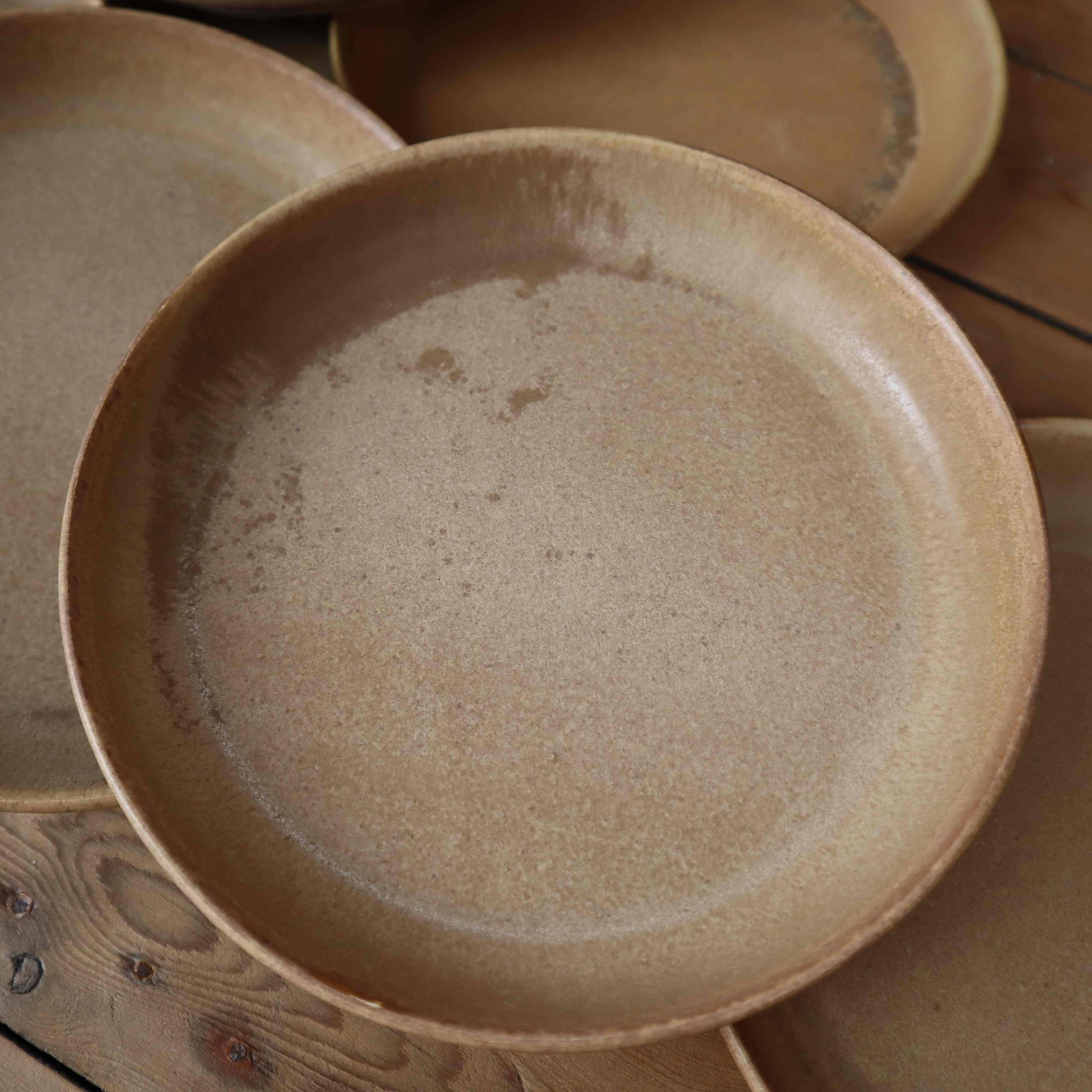 6 stoneware rimmed dinner plates