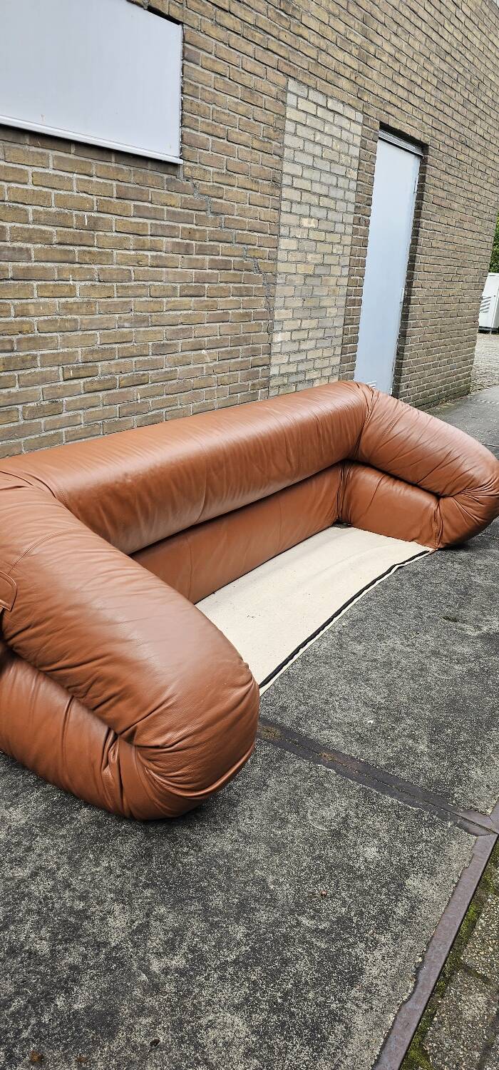 Anfibio 3 places par Alessandro Becchi pour Giovaneti