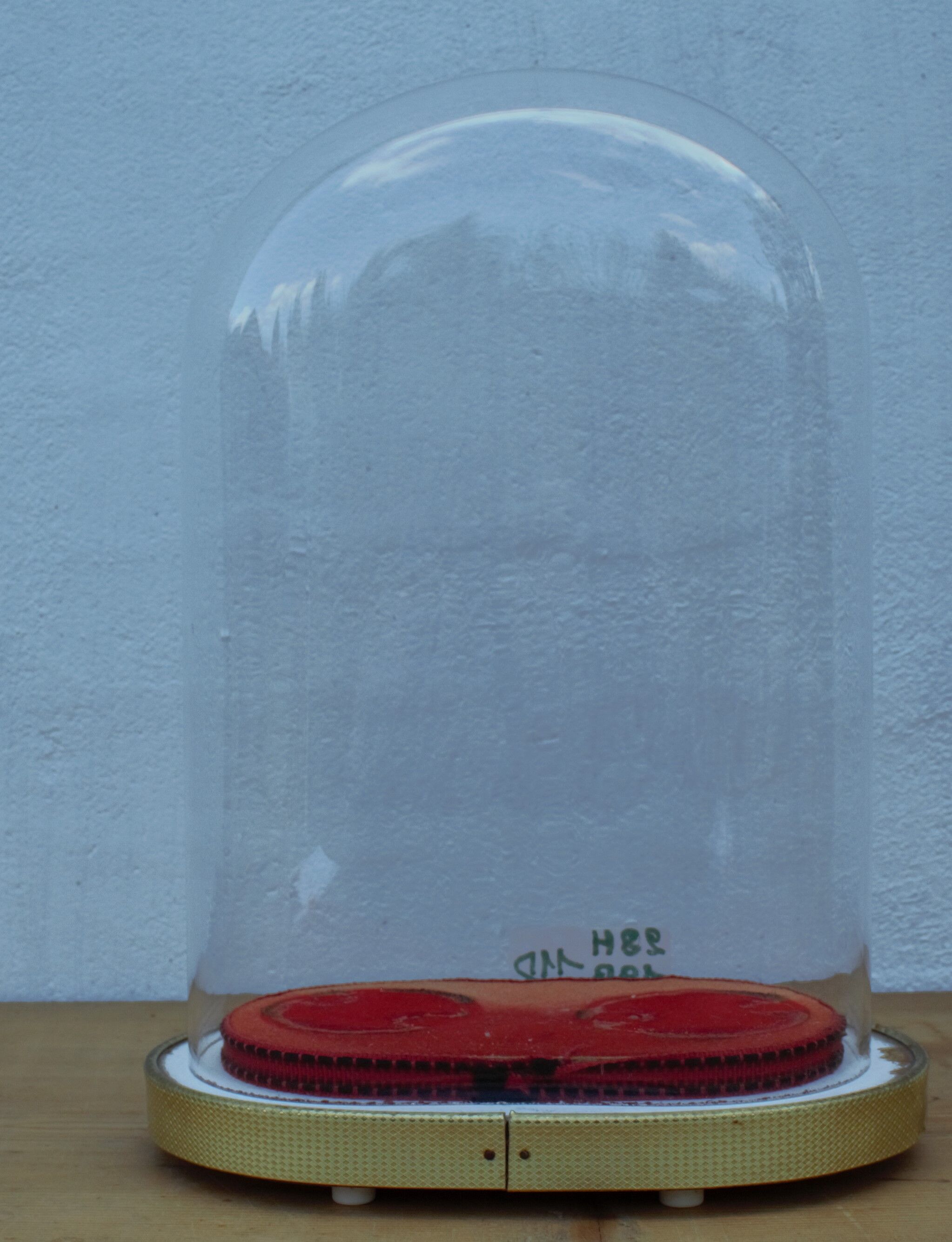 Oval wedding globe in glass 28 cm high