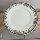 Limoges porcelain plates