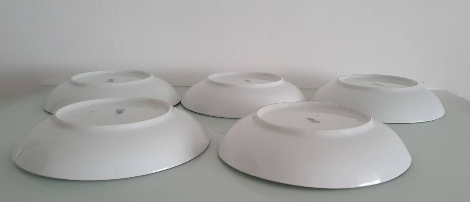 Set of 5 soup plates - Arzberg Earthenware - 1960/70
