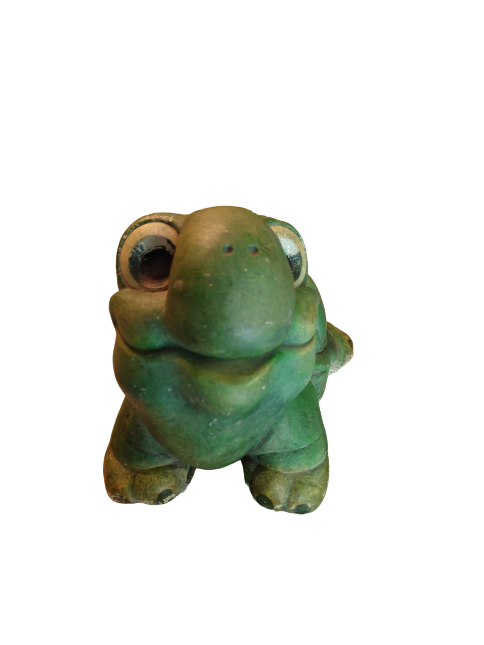 Green turtle in concrete