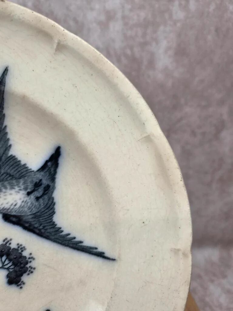 Antique Longwy plate – Japanese model – black and white bird decoration