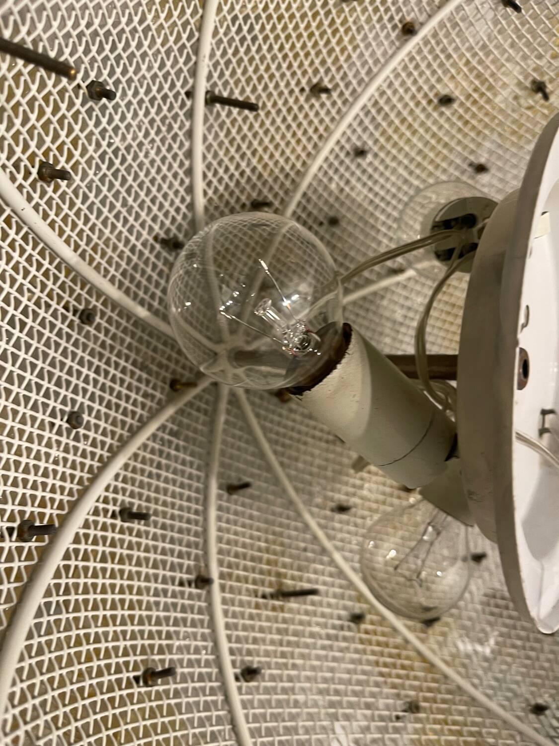 Large Murano Glass Flower Flushmount by Seguso 1960’s