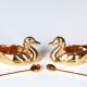 Pair of salt ducks in Limoges porcelain, 50s