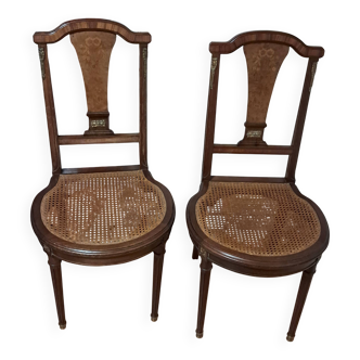Pair of 1900 chairs in mahogany and walnut burl marquetry.