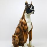 Life-size boxer dog statue in majolica, glazed ceramic, Italy, 1970s.