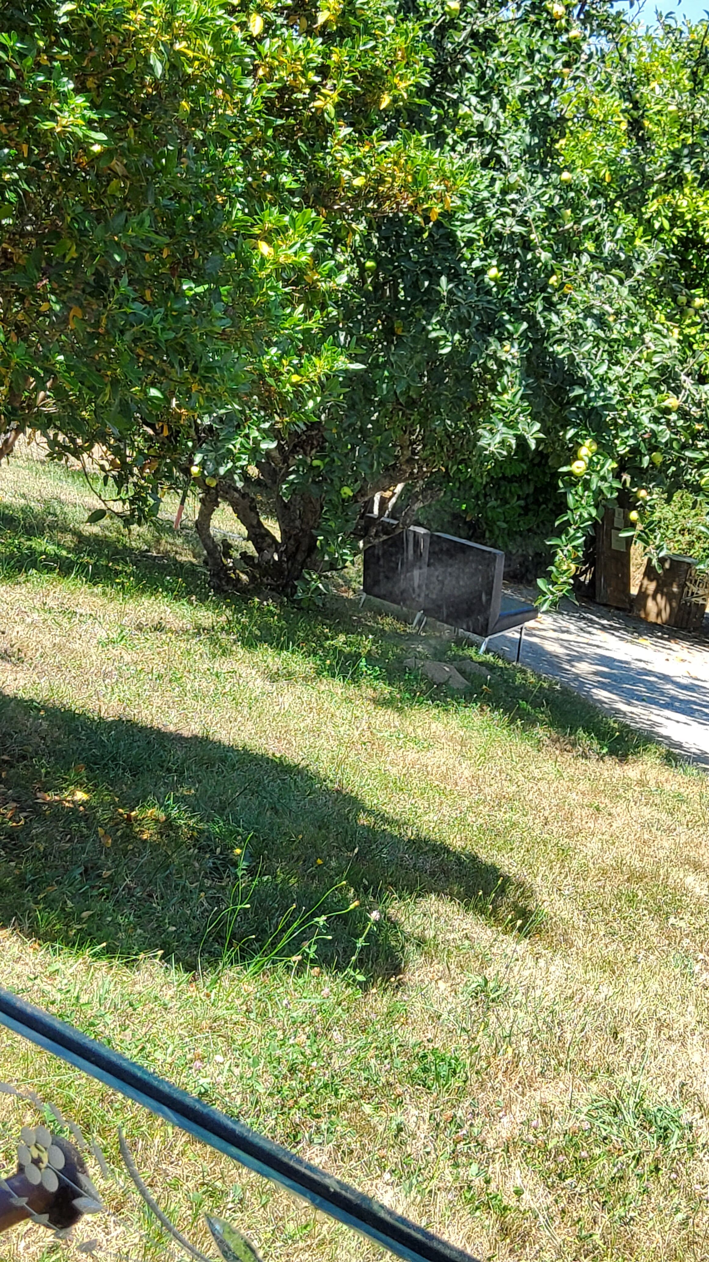 Venetian mirror of the 50s 94cm