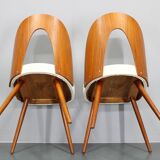 1960s Antonin Suman Pair of Restored Chairs in Walnut Finish