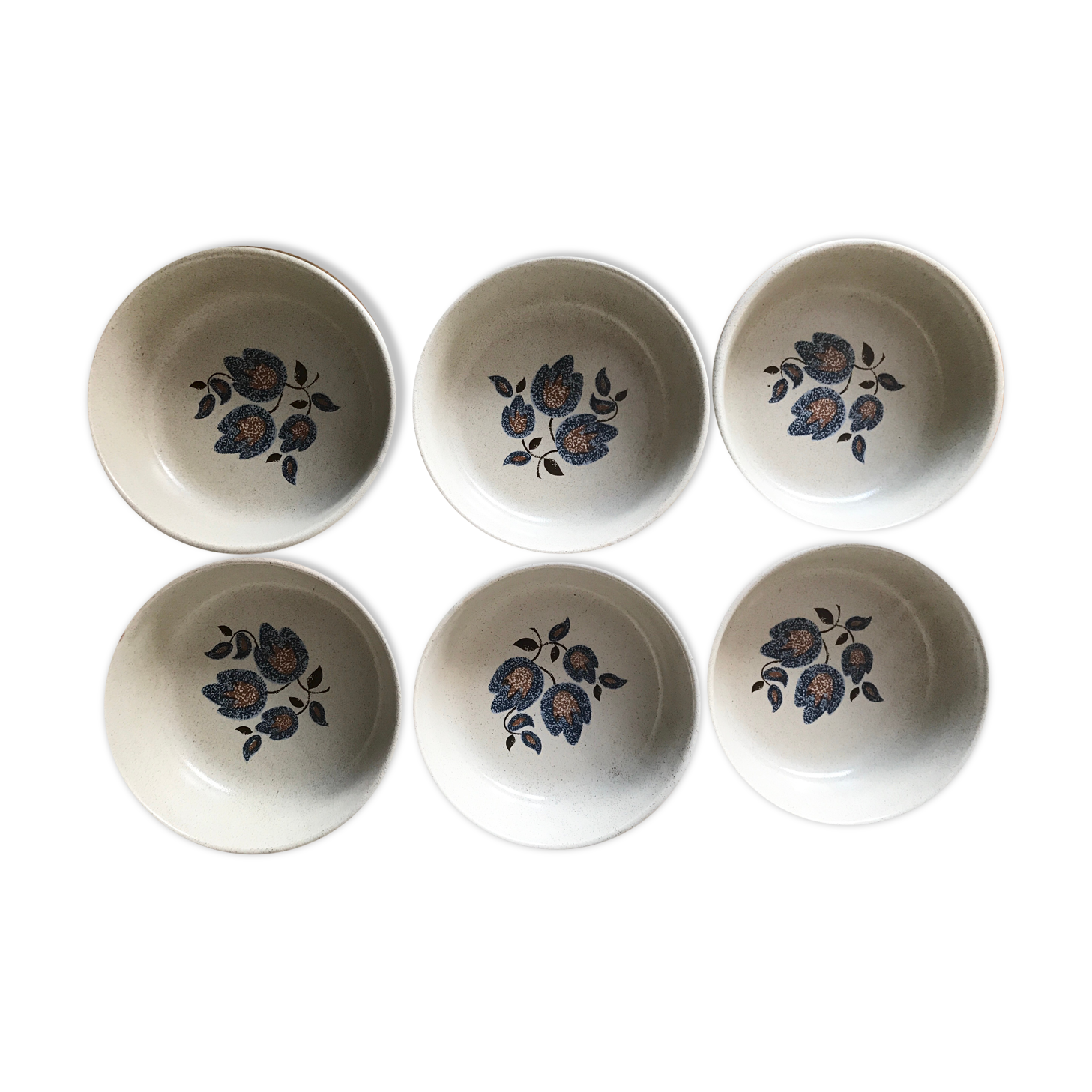 6 hollow plates sandstone earthenware of Saint Amand floral decoration Sologne