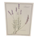 Botanical plate – Lavender – Louis Pariente, 1986