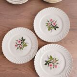 Lot de 18 assiettes plates