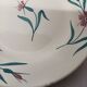 Service assiettes creuses et compotier" Terre de Fer"