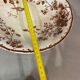 Gien gold medal warbler fruit bowl