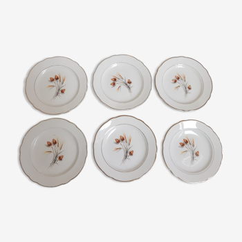 Porcelain dessert plates