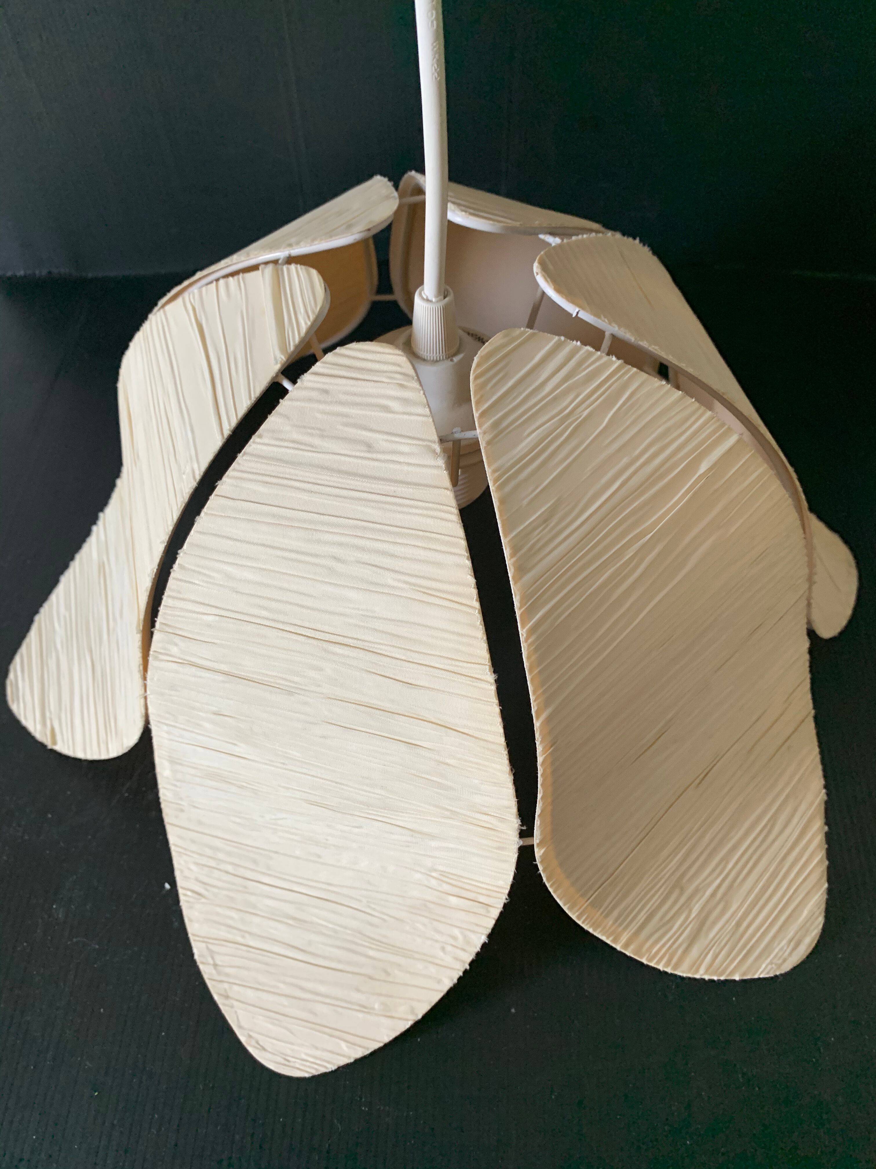 Day abat lotus flower petals