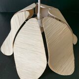 Day abat lotus flower petals