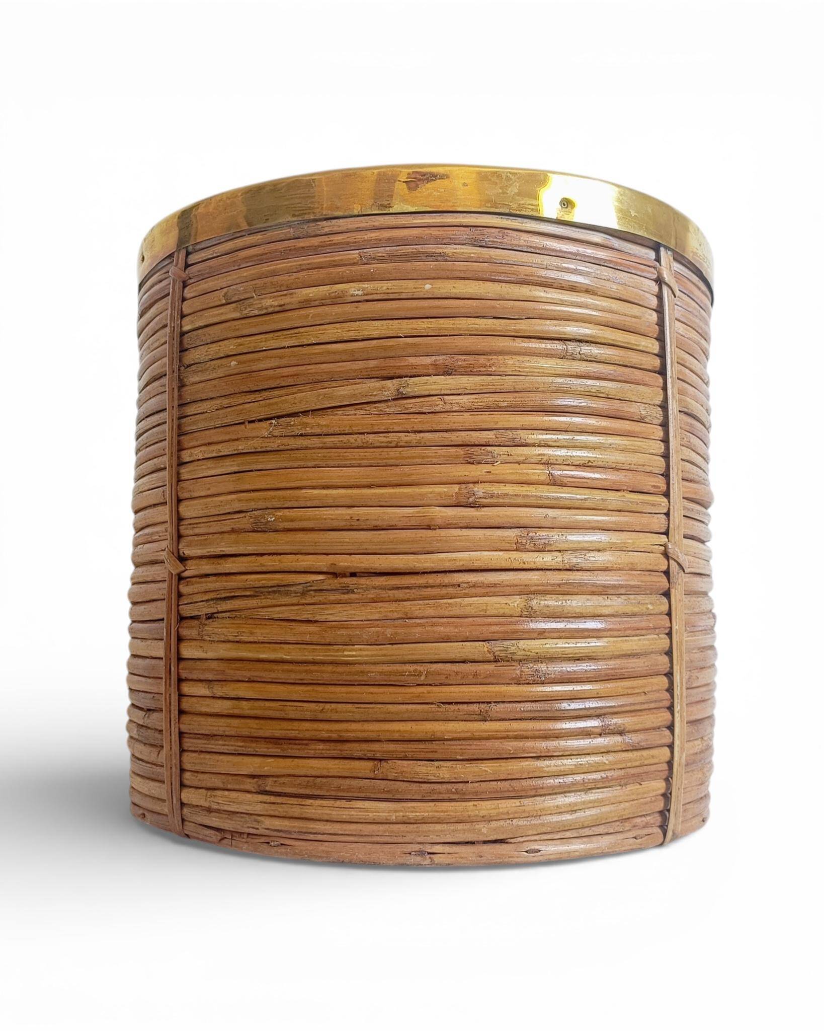 Mid-Century Organic Modern Large Pencil Reed / Rattan Planter with Brass Rim