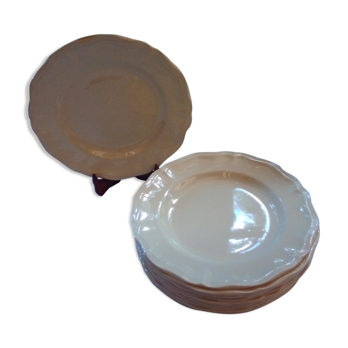 12 flat plates digoin