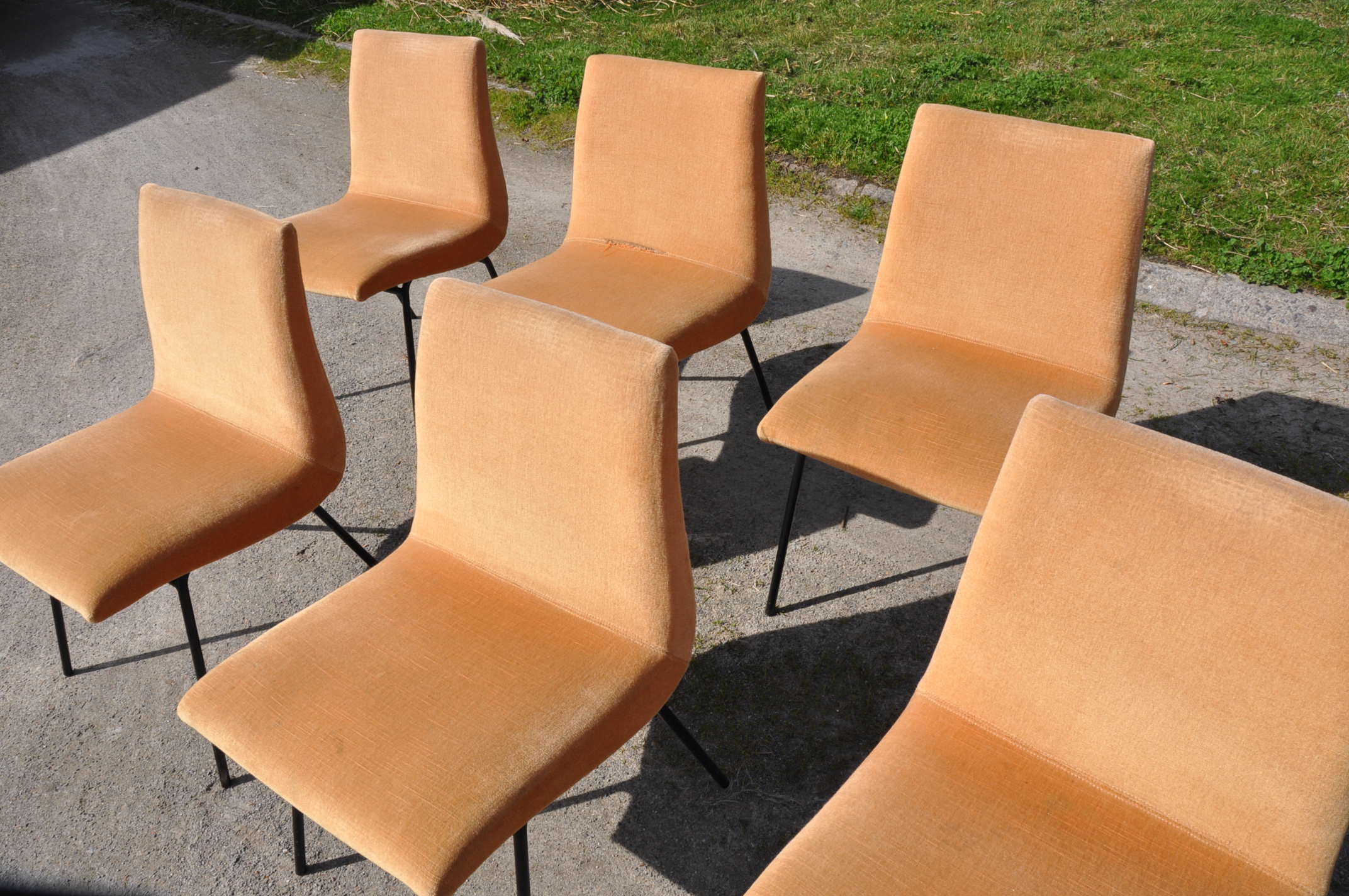 Pierre Paulin chairs