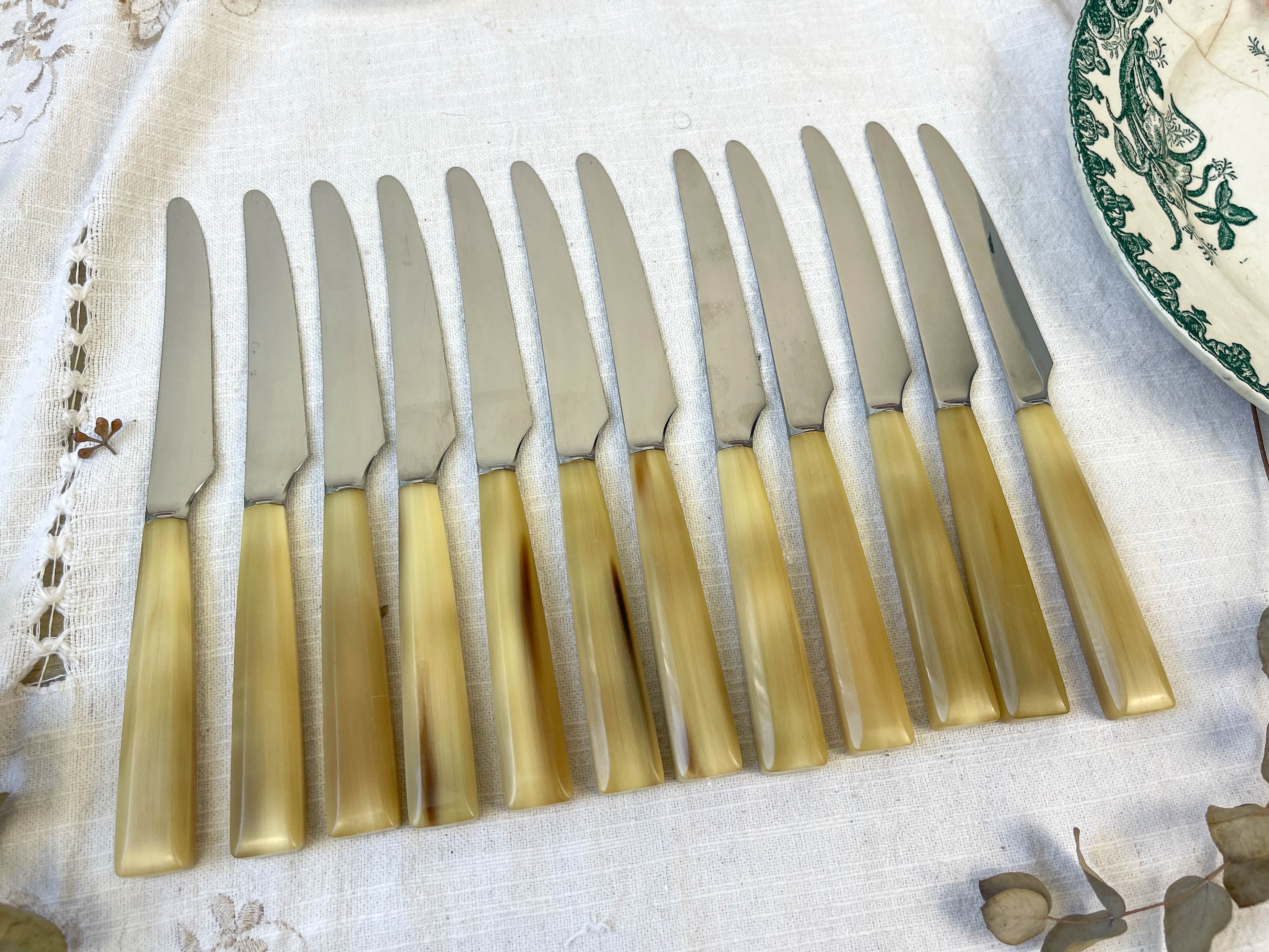 12 vintage knives NOGENT Bakélite imitation ivory
