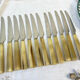 12 vintage knives NOGENT Bakélite imitation ivory