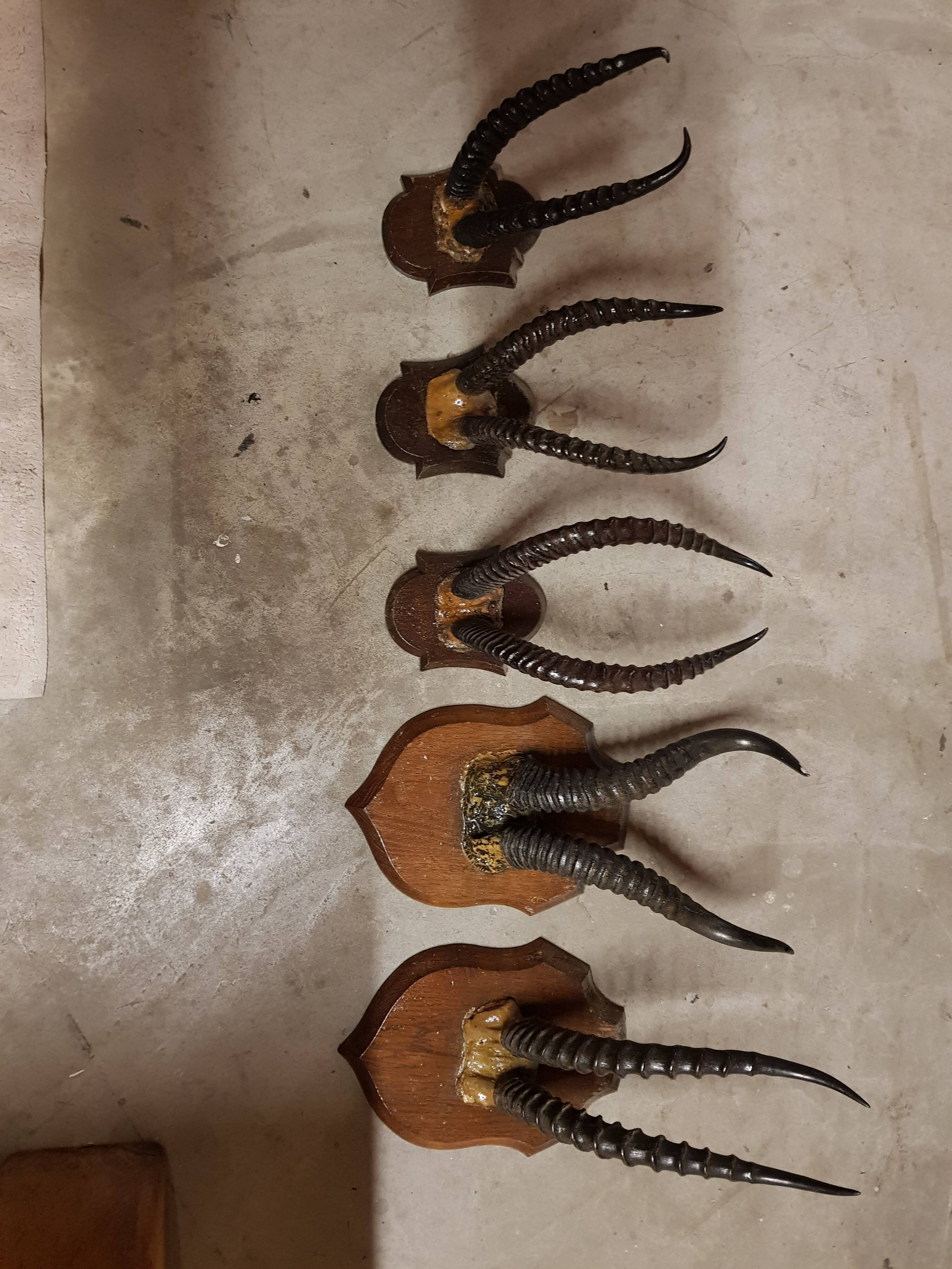 Trophies