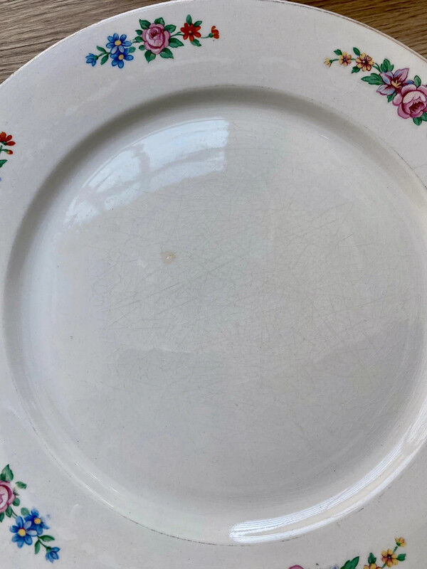 12 flat plates Digoin Sarreguemines Canada