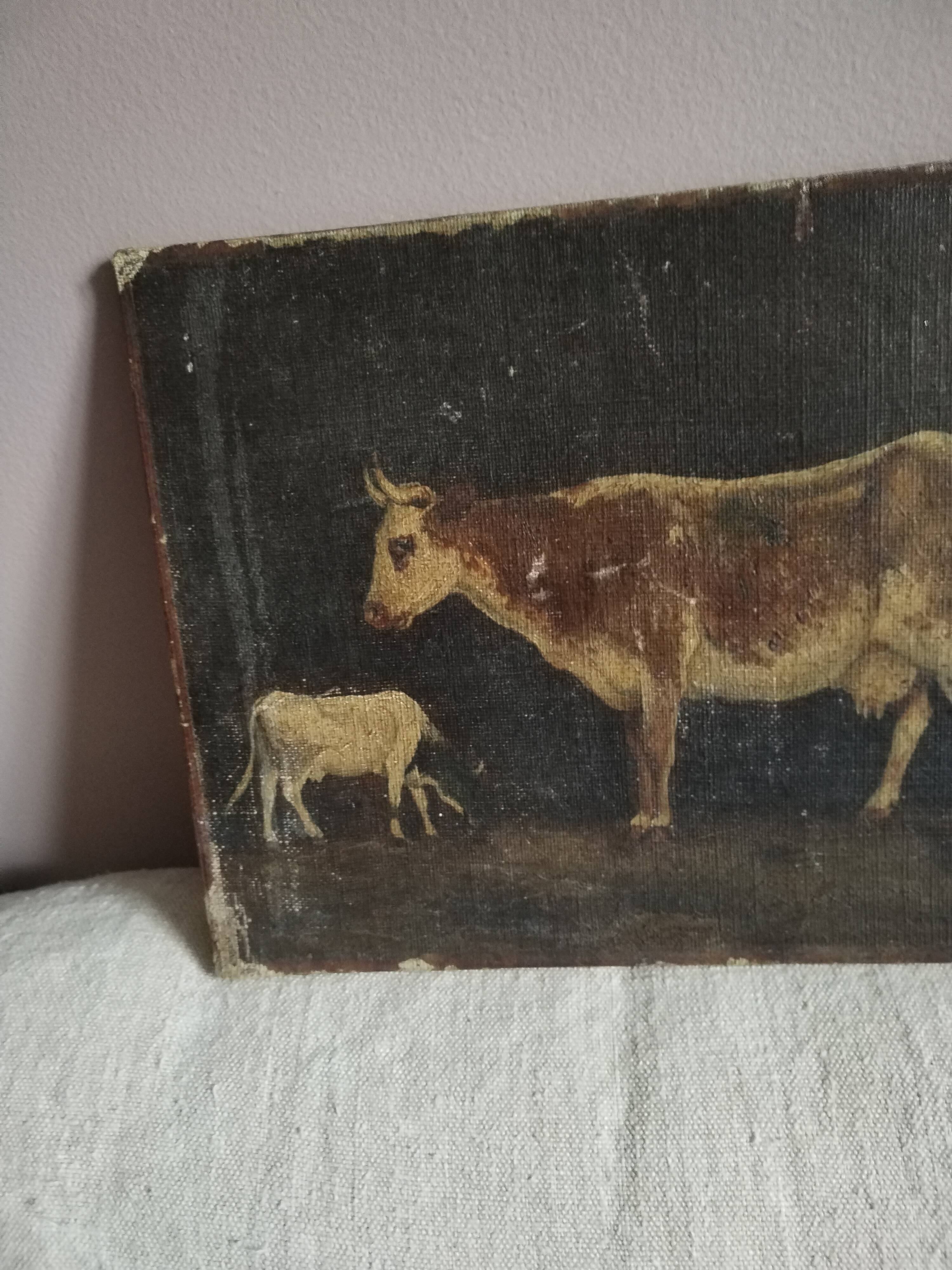 Pastoral oil on cardboard cows 19th signed