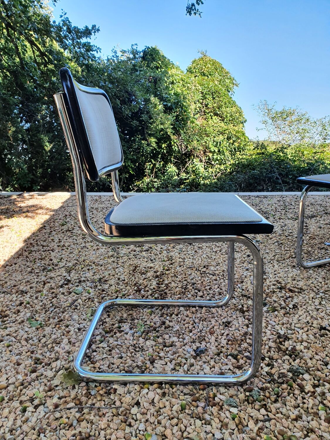 6 Cesca chairs