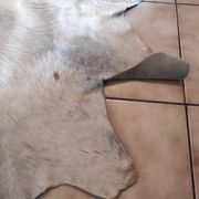 Carpet descent of vintage bed in cowhide 164x176 cm with white hair