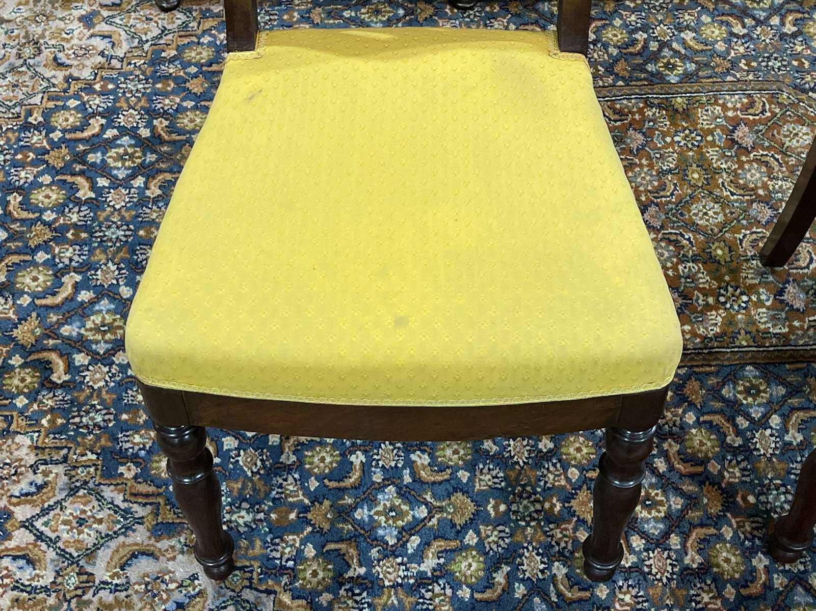 Pair of French mahogany chairs late 19th century