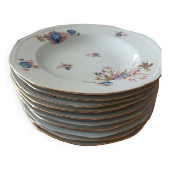 Hollow plates Limoges porcelain