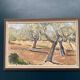 Original Swedish Oil on Canvas – "Olive Trees" by Bruno Fagerlund – Signed – Vintage and Framed – 57 × 38 cm (22.4" × 15")